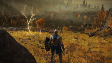 Elden Ring: dónde encontrar semillas doradas