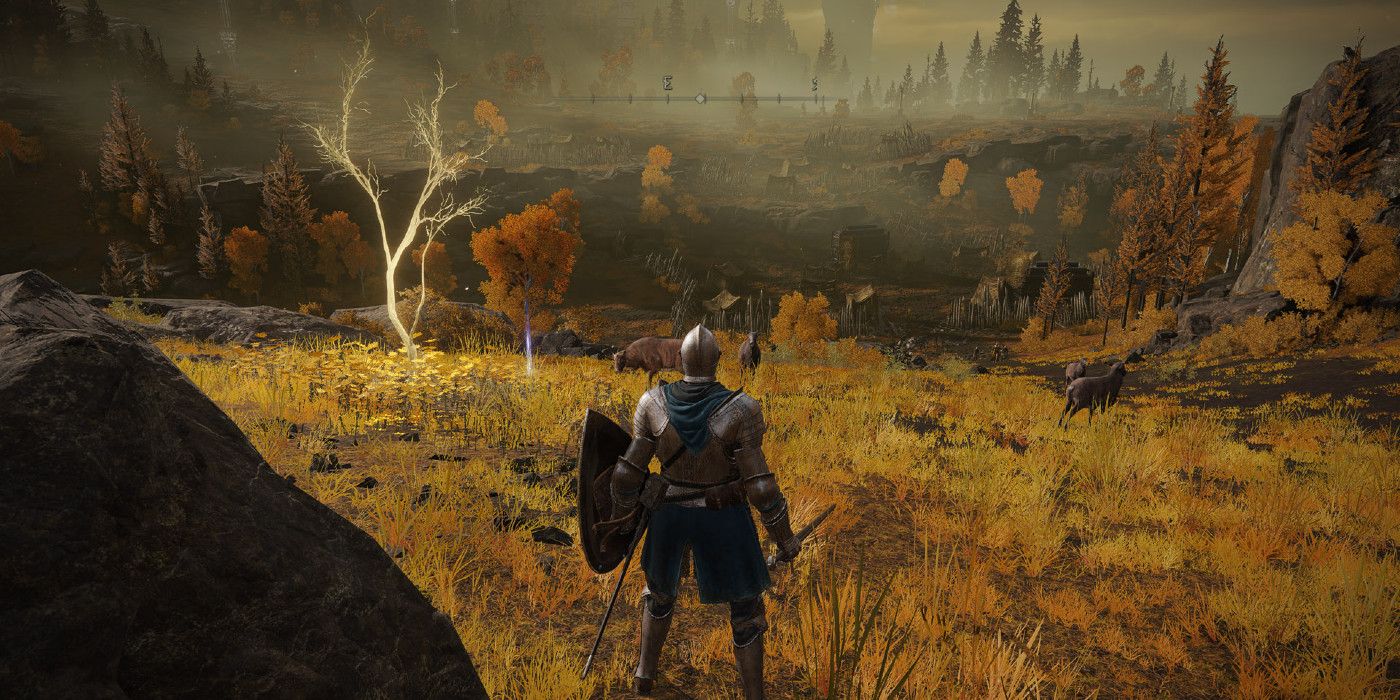 Elden Ring: dónde encontrar semillas doradas