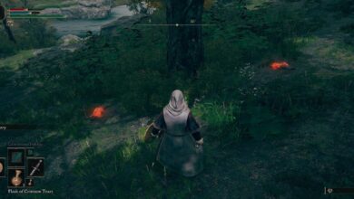 Elden Ring: dónde encontrar (y cultivar) resina de raíz