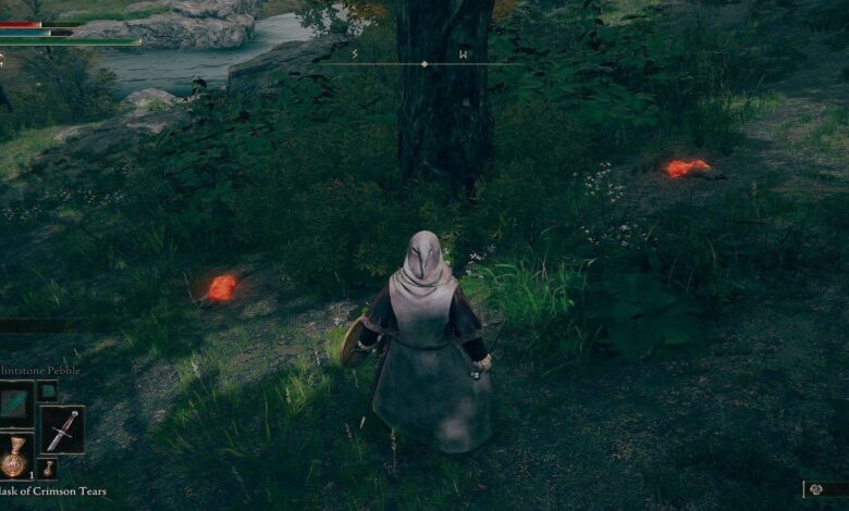 Elden Ring: dónde encontrar (y cultivar) resina de raíz