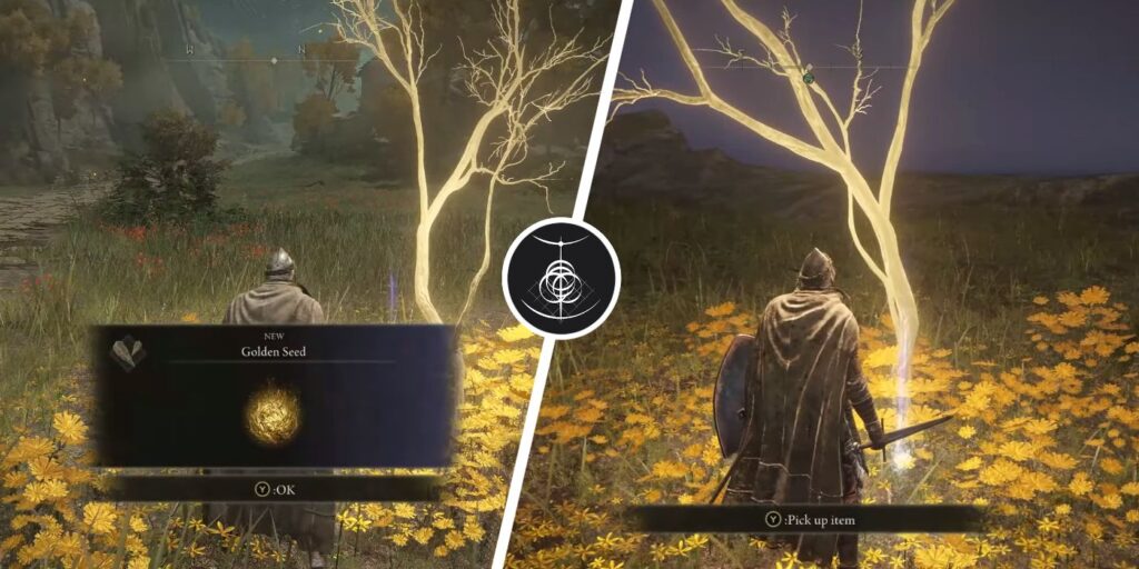 Elden Ring: todas las ubicaciones de Limgrave Golden Seed