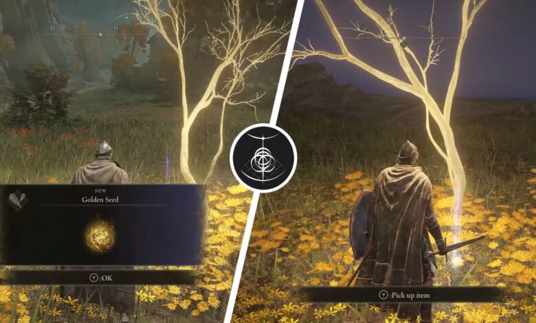 Elden Ring: todas las ubicaciones de Limgrave Golden Seed