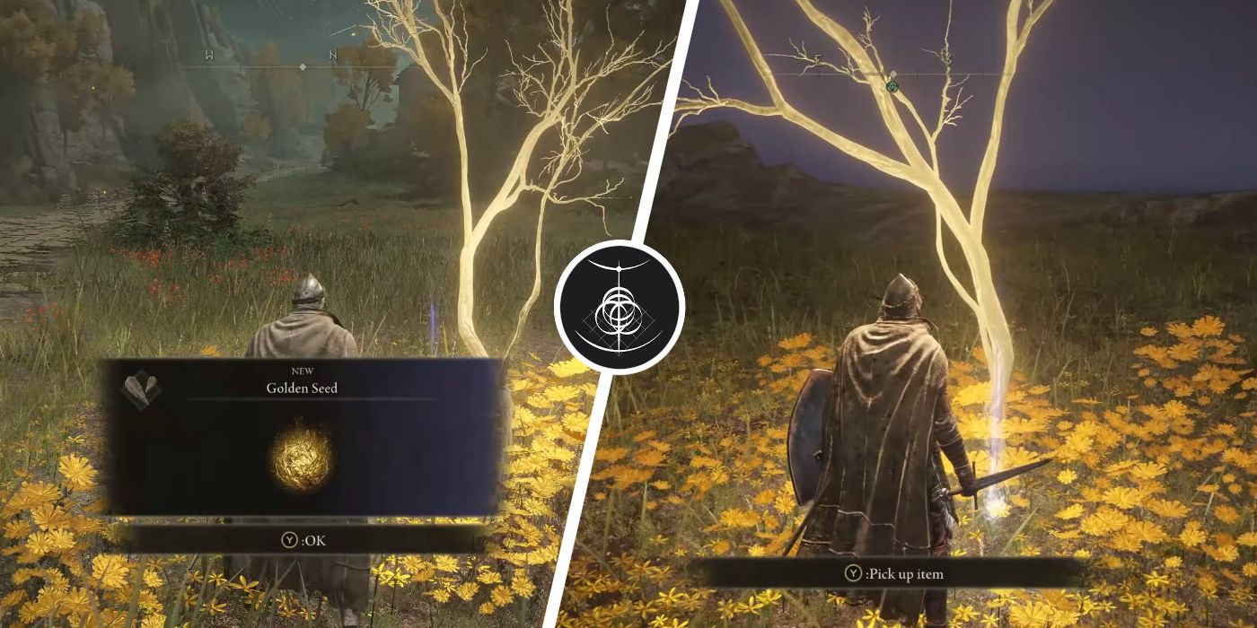 Elden Ring: todas las ubicaciones de Limgrave Golden Seed