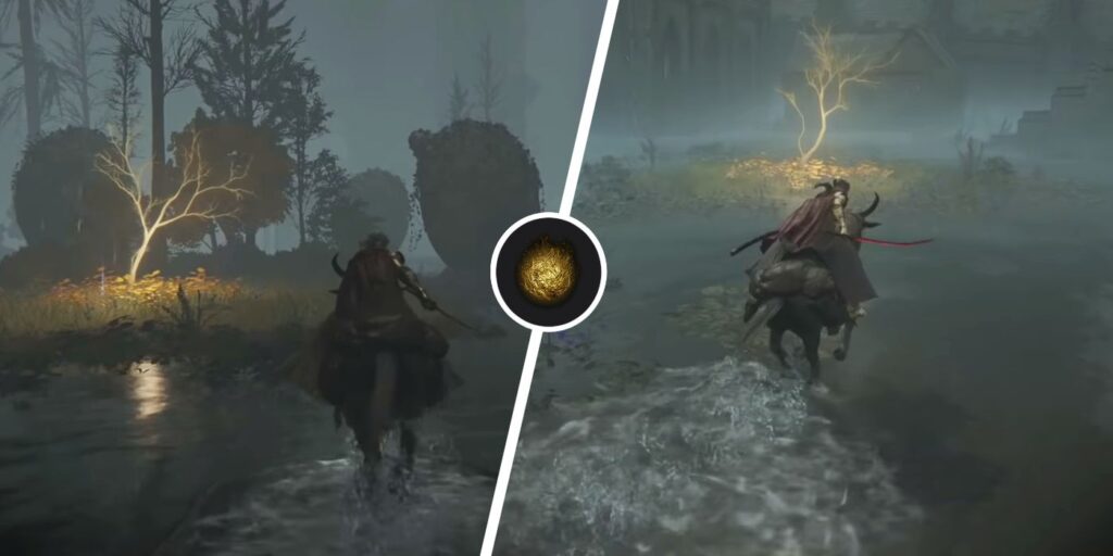 Elden Ring: todas las ubicaciones de semillas doradas en Liurnia