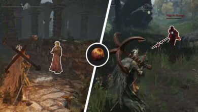 Elden Ring: todas las ubicaciones de uva Shabriri para Hyetta