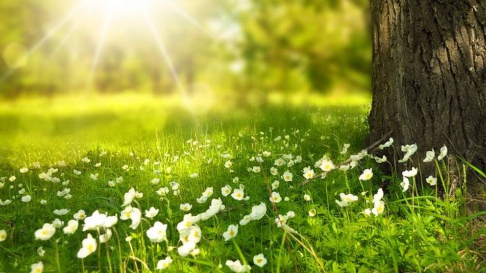 Equinoccio y solsticio: ¿Cuál es la diferencia?