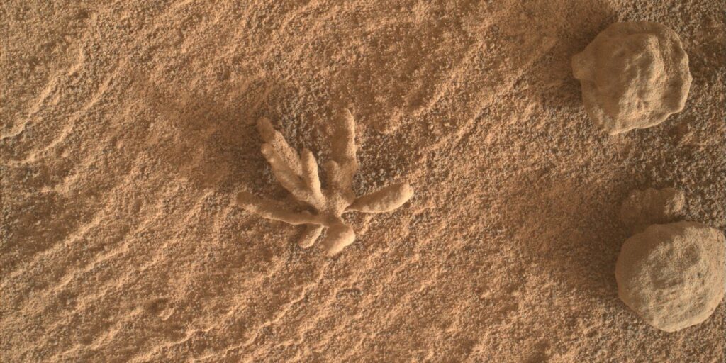Esta foto de la NASA de una 'flor' de Marte es absolutamente hermosa