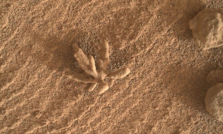 Esta foto de la NASA de una 'flor' de Marte es absolutamente hermosa