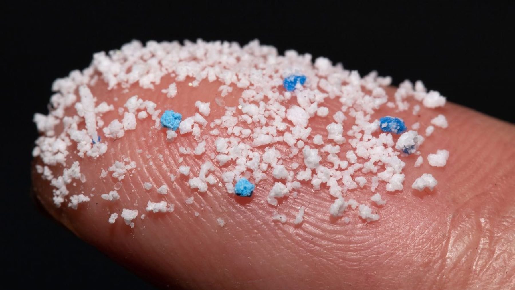 Estos son los microplásticos que ingieres todos los días y así te afectan