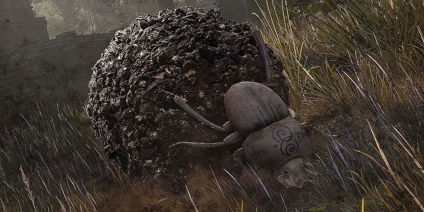 Fan de Elden Ring muere ante un escarabajo durante una intensa batalla de dragones