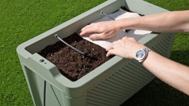 GROW recauda $ 2.4M para construir una sembradora inteligente para vegetales fáciles de cultivar