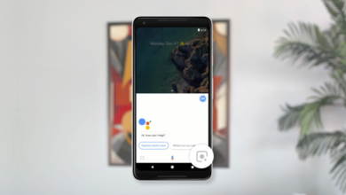 Google Lens en el Asistente comienza a implementarse para todos los usuarios de Pixel