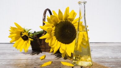 Grecia dice que puede aumentar la producción de aceite de girasol, si es necesario
