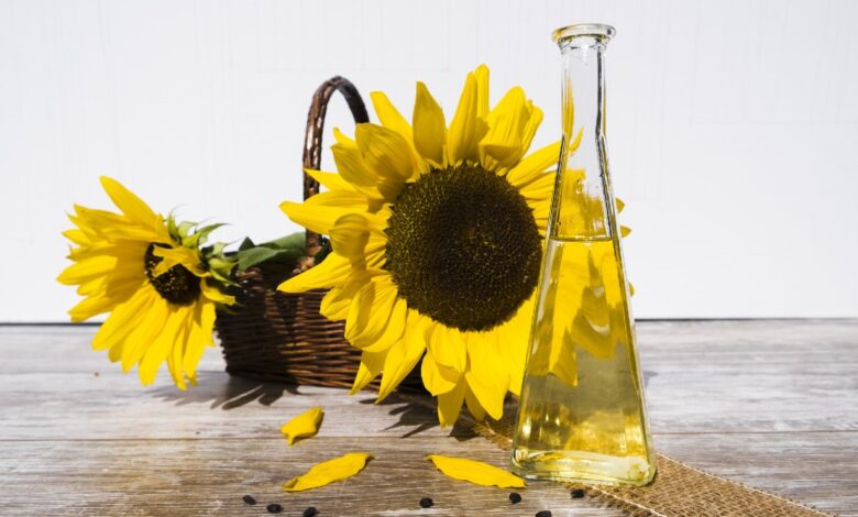 Grecia dice que puede aumentar la producción de aceite de girasol, si es necesario