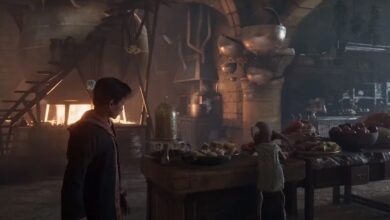 Hogwarts Legacy te permite explorar las ubicaciones de las escuelas Se omitieron las películas