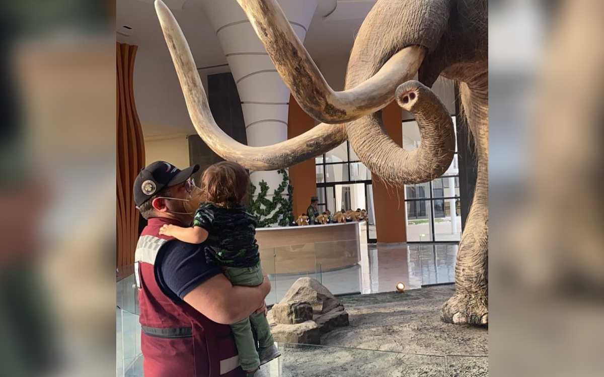 José Ramón López Beltrán y Carolyn Adams también visitaron el AIFA