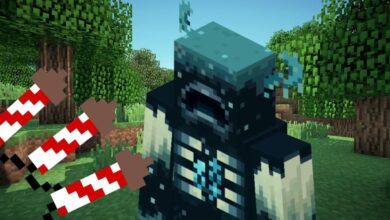 Jugador de Minecraft mata al alcaide con muchos fuegos artificiales
