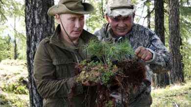 Vladímir Putin, ala izquierda, con el ministro de Defensa, Serguéi Shoigú, observan la vegetación durante una excursión en 2019.