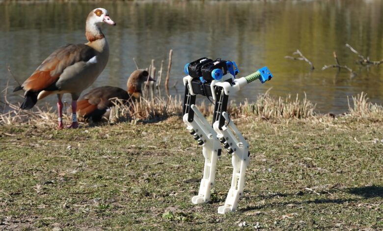 La forma en que camina este robot BirdBot es asombrosa