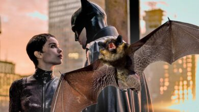 La proyección de Batman interrumpida por murciélagos reales en el teatro