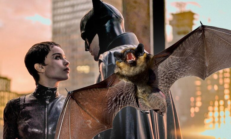 La proyección de Batman interrumpida por murciélagos reales en el teatro