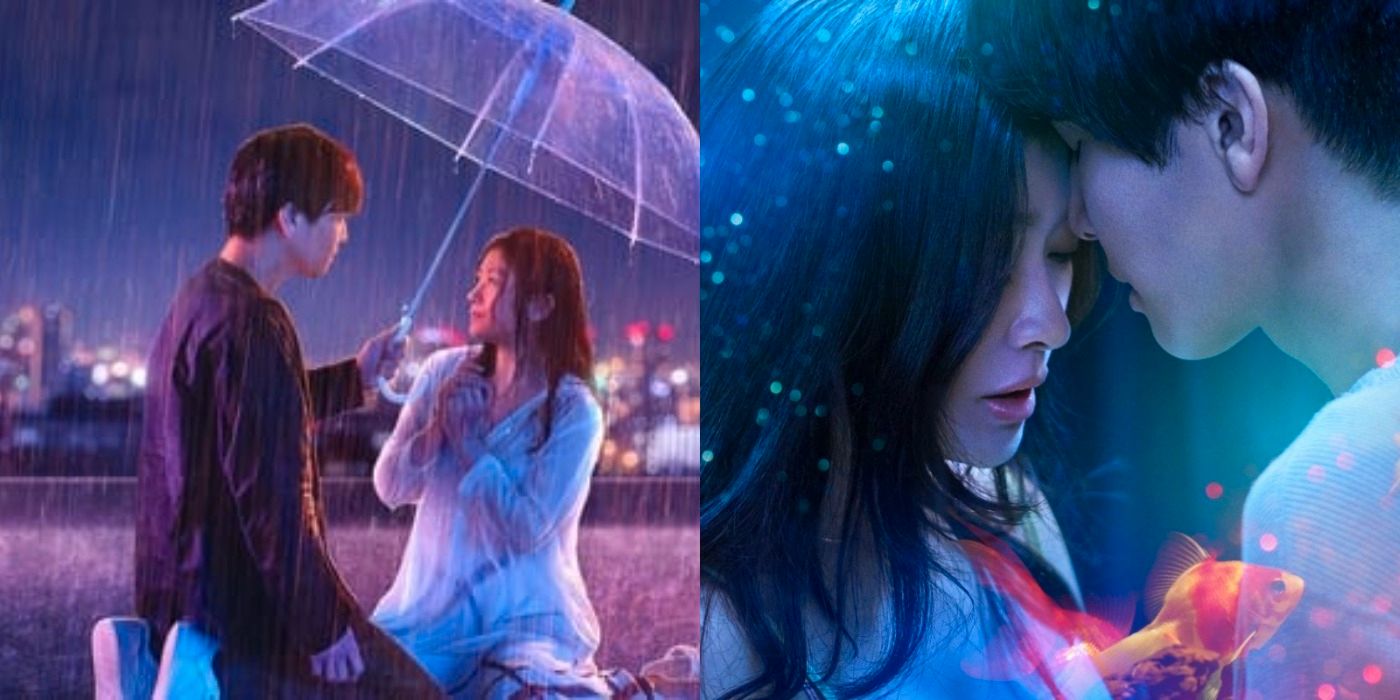 Las 10 mejores citas sobre esposas de pecera