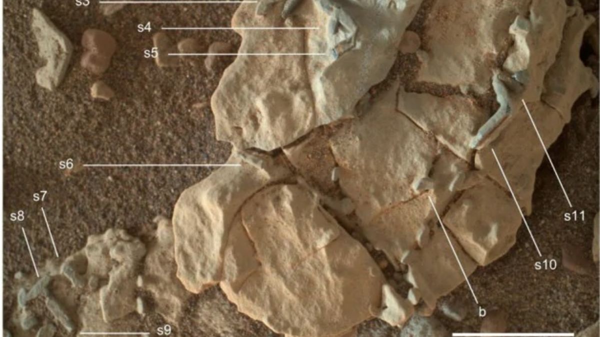 Las fotos que podrían mostrar rastros de vida