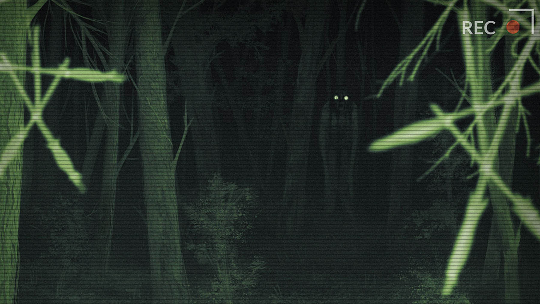 Las mejores películas «Found footage»: El falso documental rodado cámara en mano