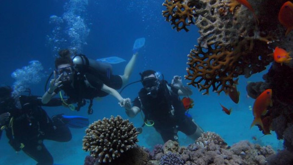 Las mejores playas para practicar snorkel y buceo