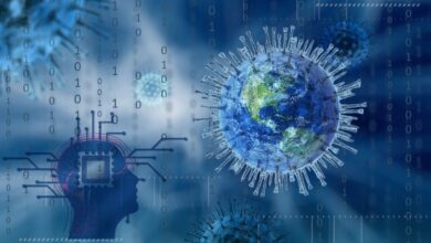Las neuronas no albergan el virus de Covid-19: estudio