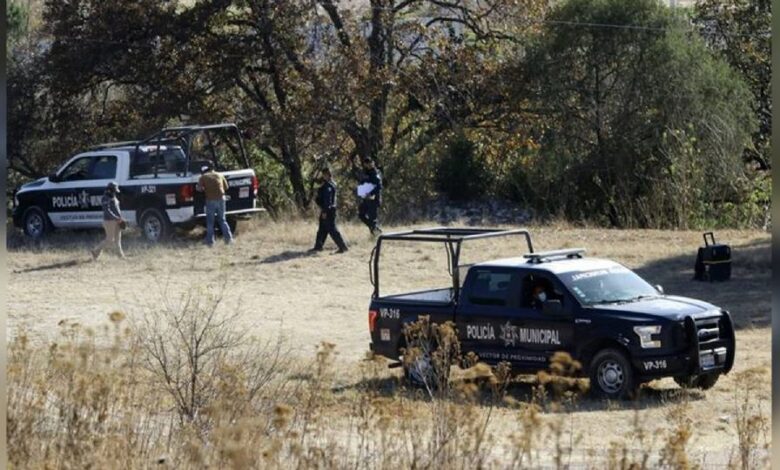 Localizan cabeza humana dentro de un lote baldío; estaba putrefacta