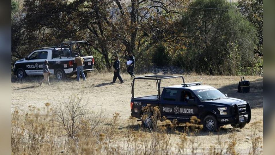 Localizan cabeza humana dentro de un lote baldío; estaba putrefacta
