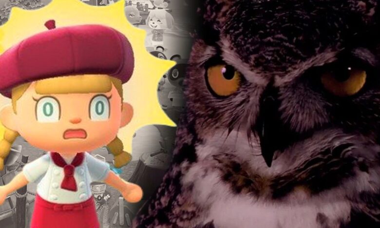 Los búhos de Animal Crossing no son lo que parecen en Twin Peaks Meme Video