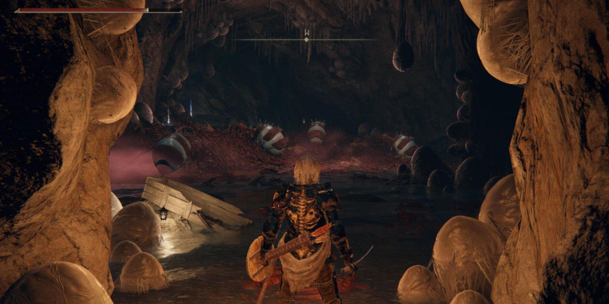 Los enemigos de las hormigas de Elden Ring son extrañamente precisos