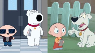 Los mejores episodios de Family Guy protagonizados por Stewie y Brian, clasificados