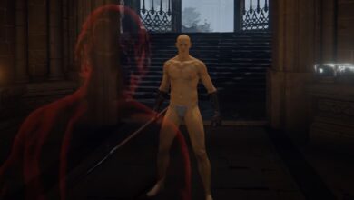 Los piratas informáticos de Elden Ring han encontrado la ropa interior de Fia en el código del juego
