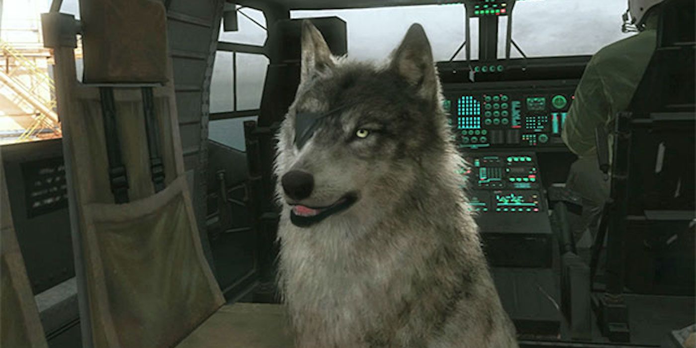 Metal Gear Solid 5: Perro disfrazado se vuelve adorable DD