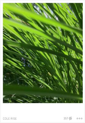 Microsoft adquiere la aplicación de fotografía cinematográfica Swng