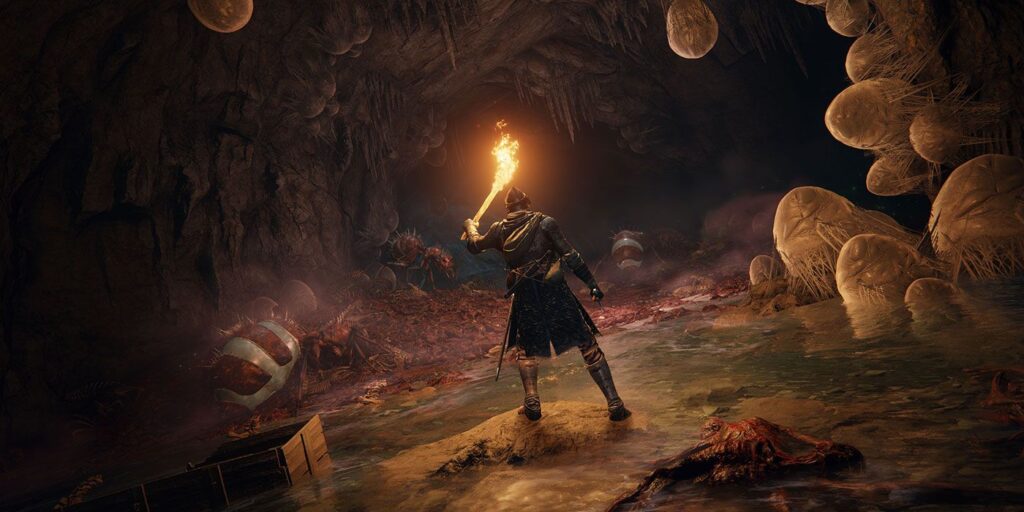 Muchos jugadores se pierden el tutorial de Elden Ring