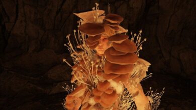 Neil Druckmann de Last of Us convierte el anillo de Elden en Clicker