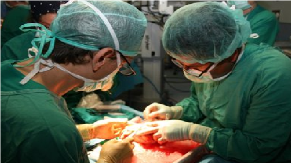 Niña fallecida dona sus órganos, da vida a otros 5 niños que necesitaban trasplante de órganos