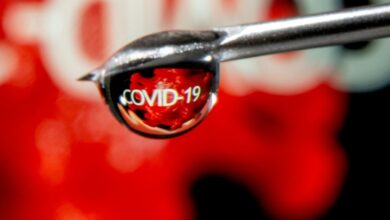 Nuevo estudio reitera: la ivermectina no es un tratamiento eficiente contra Covid-19