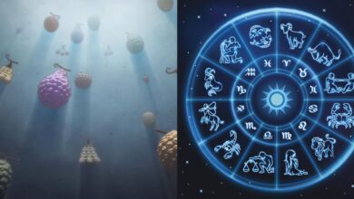 One Piece: ¿Qué fruta del diablo tendrías según tu signo zodiacal?