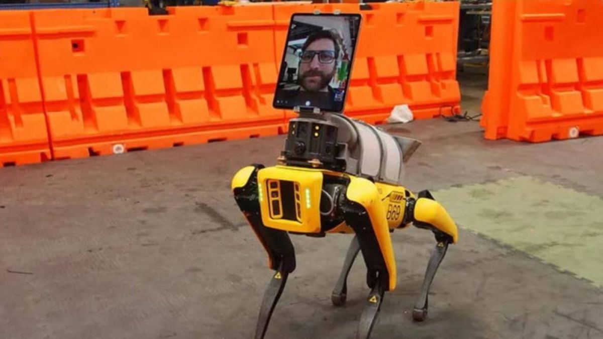 Perros robóticos que tratan a pacientes con coronavirus a distancia