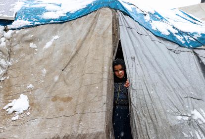 Por qué huir de Ucrania no es huir de Siria