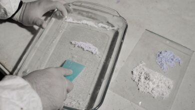 Producción de fentanilo cambia rápidamente de China a México: Estados Unidos