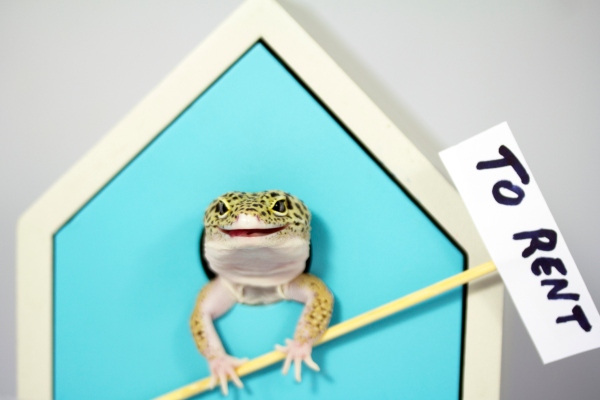 RealPage adquiere la startup de IoT de bienes raíces Stratis