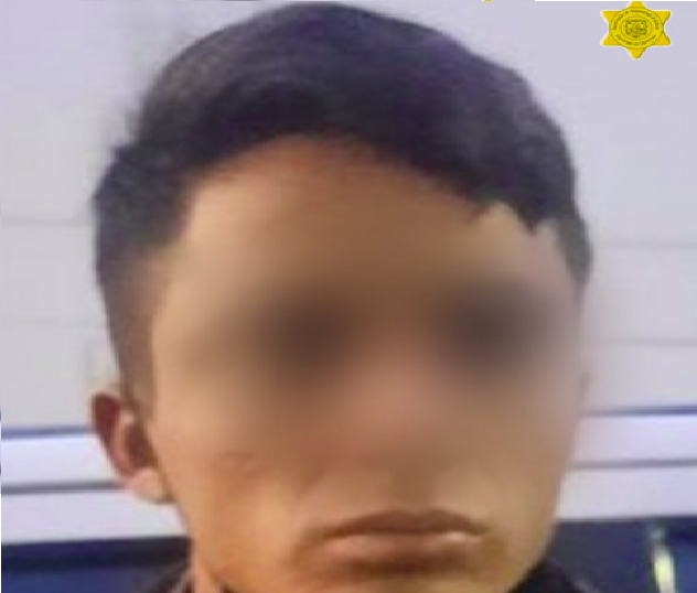 Roba camioneta, detienen a sujeto en la colonia Los Sauces, en Querétaro