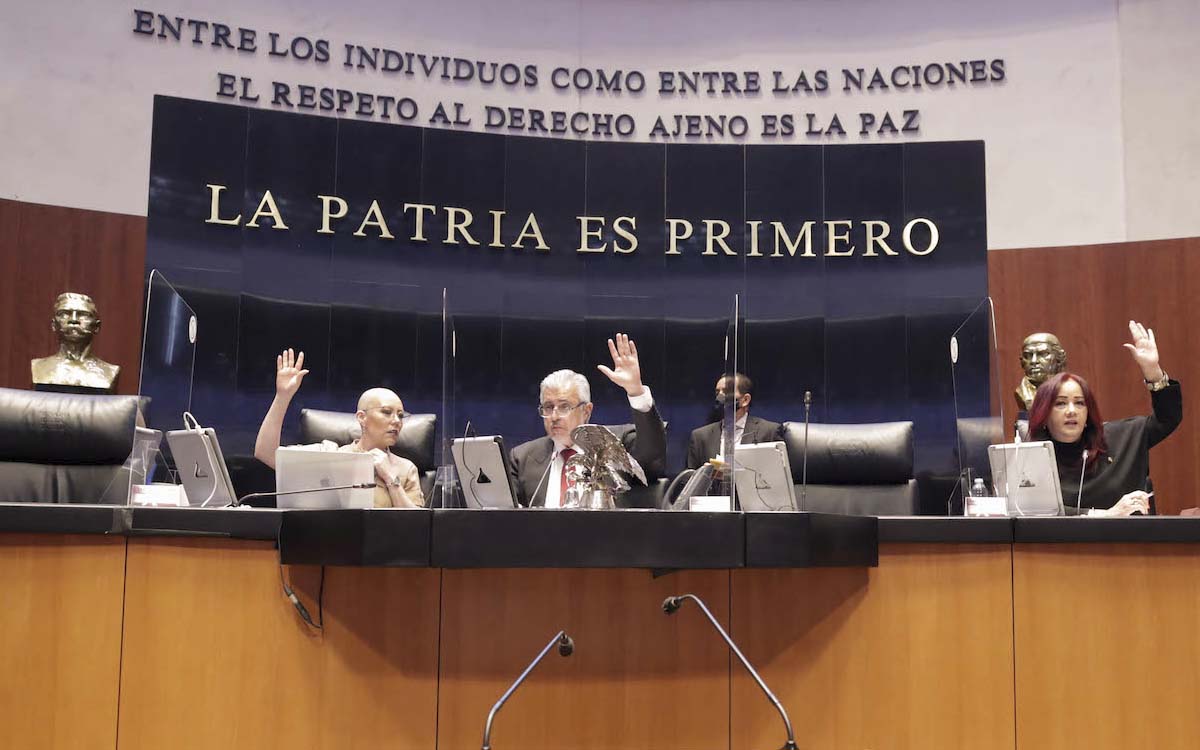 Senado aprueba reforma que impide al Tribunal Electoral intervenir en decisiones internas del Legislativo