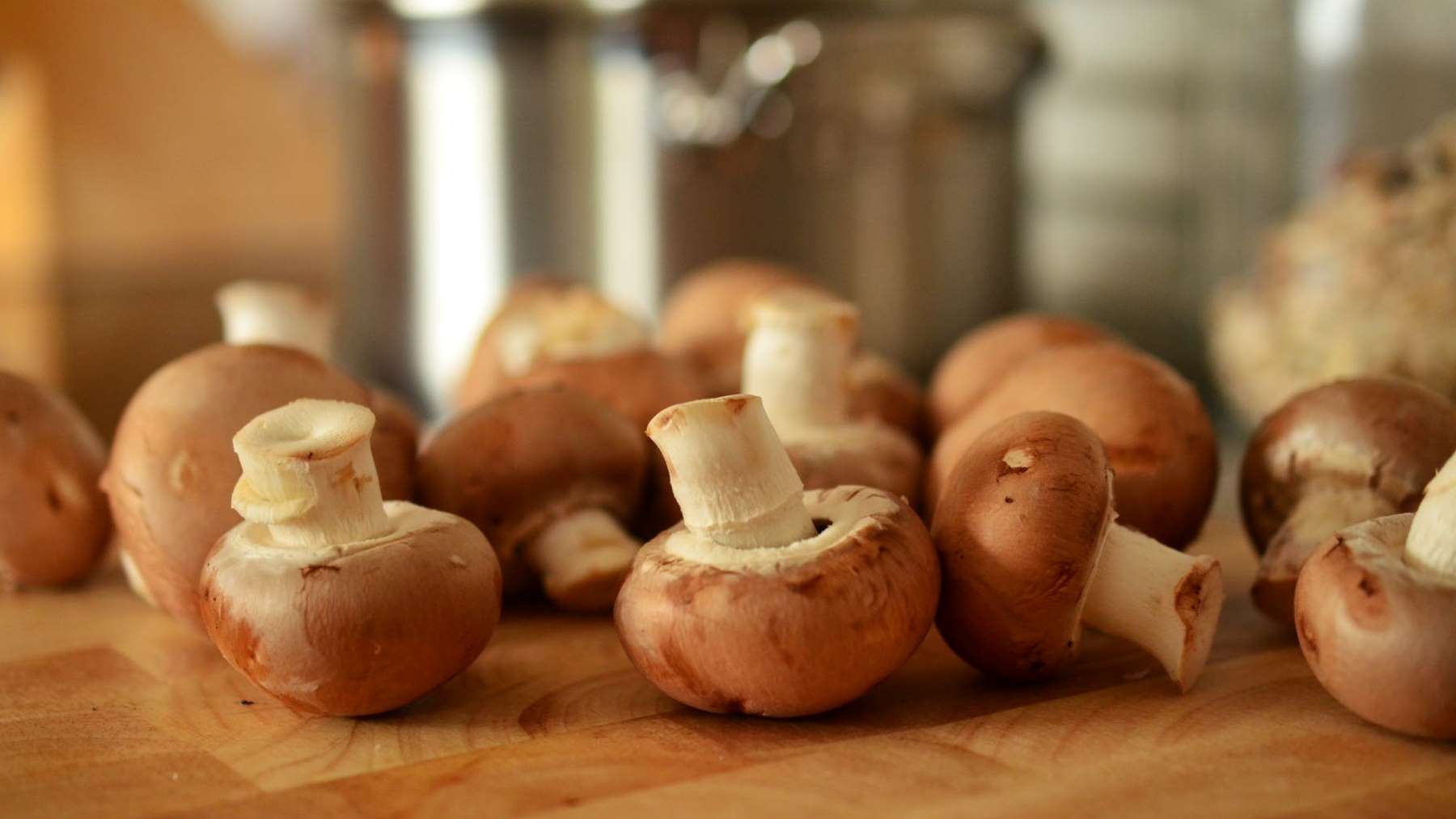 Si tus champiñones tienen este aspecto, no te los comas bajo ningún concepto
